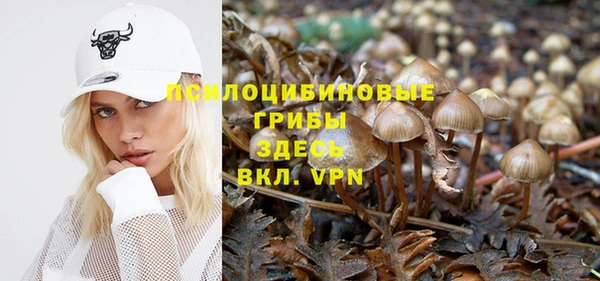 прущая мука Баксан