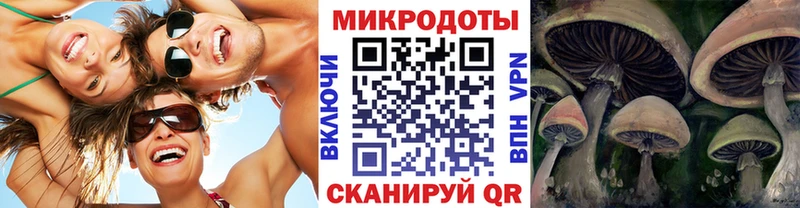 OMG онион купить наркотик Заозёрск Галлюциногенные грибы Psilocybine cubensis